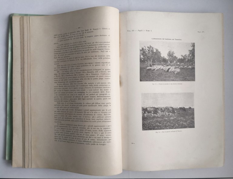 PUGLIE Relazione condizione contadini di Presutti volume 3 tomo 1 …