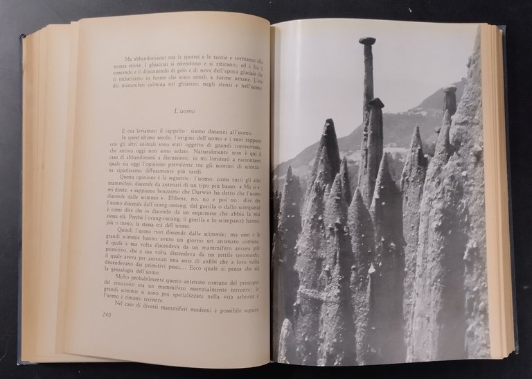 QUESTO MONDO GRANDE E TERRIBILE di Ginestra Amaldi 1951 Garzanti …