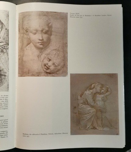 RAFFAELLO L'OPERA LE FONTI LA FORTUNA 1968 2 volumi cofanetto …