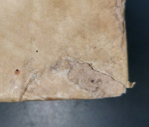 REGGIA ORATORIA IN CUI SONO TUTTI VERBI ITALIANI di Giovanni …