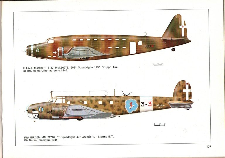 REGIA AERONAUTICA I FRONTI AFRICANI Emiliani Ghergo Vigna 1979 Albertelli …