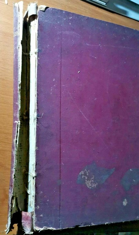 REGINA rivista per le signore e le signorine 1908 febbraio …