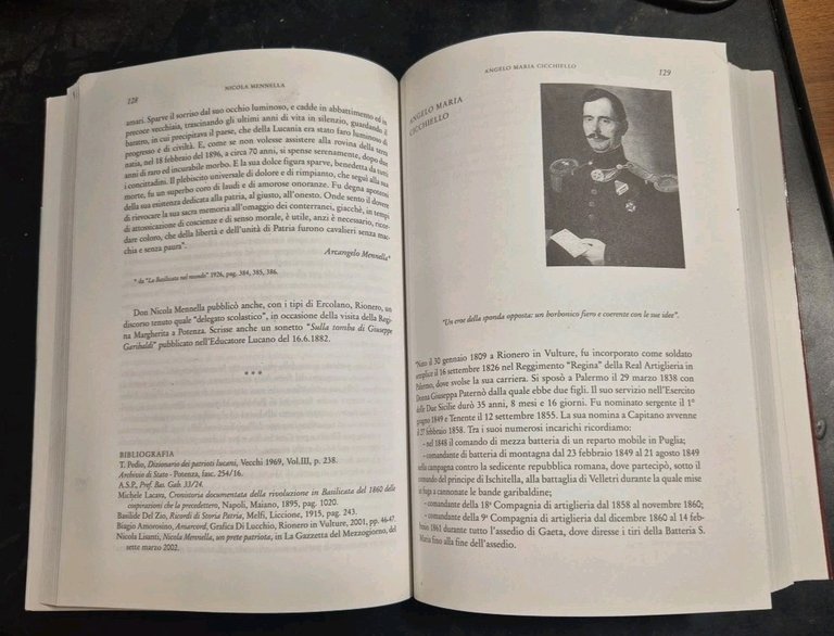 REGIO VULTURIS 2 volumi di Enzo Cervellino IL VULTURE ATELLA …