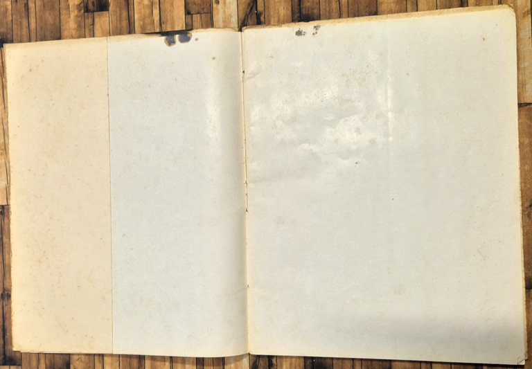 REX CONTE DI SAVOIA la premiere classe Brochure Originale in …