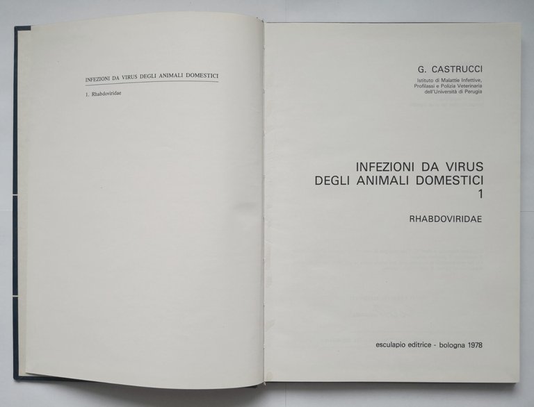 RHABDOVIRIDAE di Castrucci INFEZIONI DA VIRUS DEGLI ANIMALI DOMESTICI 1978 …