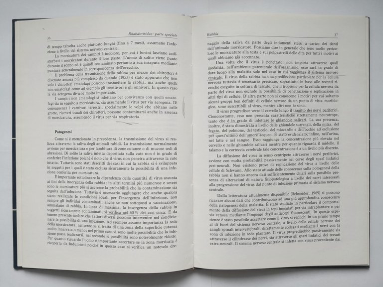 RHABDOVIRIDAE di Castrucci INFEZIONI DA VIRUS DEGLI ANIMALI DOMESTICI 1978 …