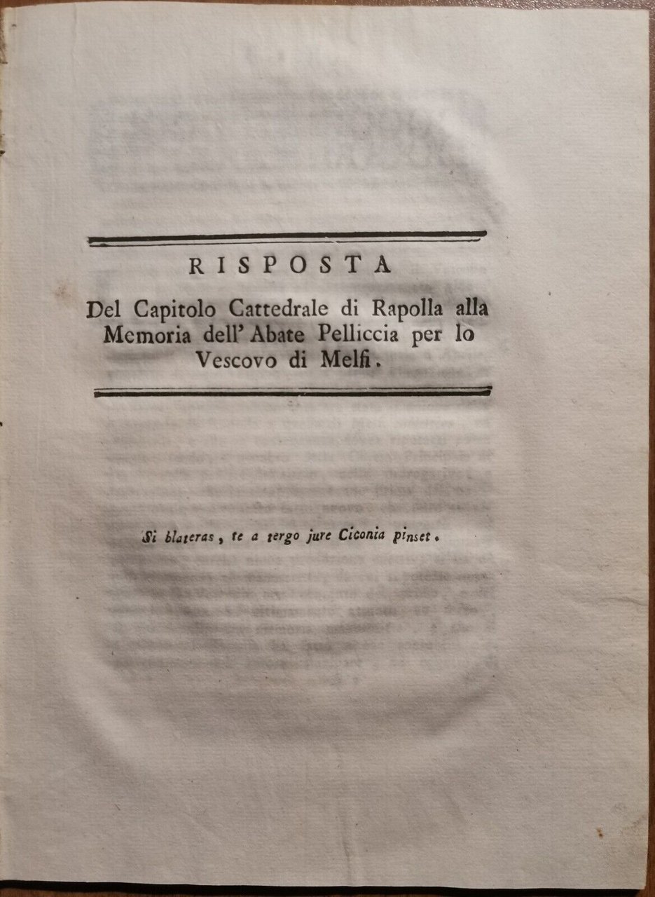 RISPOSTA DEL CAPITOLO CATTEDRALE DI RAPOLLA AL VESCOVO MELFI 1803 …