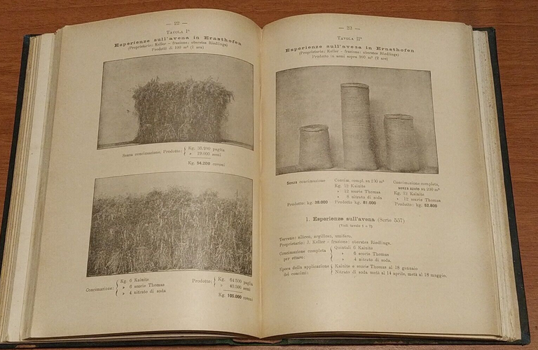 RISPOSTE AD ALCUNE IMPORTANTI QUESTIONI RIGUARDANTI LA CONCIMAZIONE libro antico