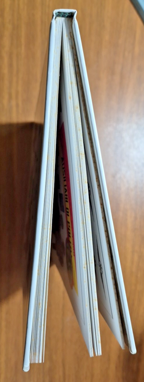 RSI UNIFORMI DISTINTIVI EQUIPAGGIAMENTO E ARMI 1943 1945 di Guido …