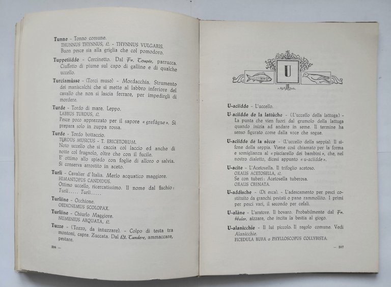 SAGGIO DI NOMENCLATURA POPOLARE BARESE di Carlo Scorcia 1967 Resta …