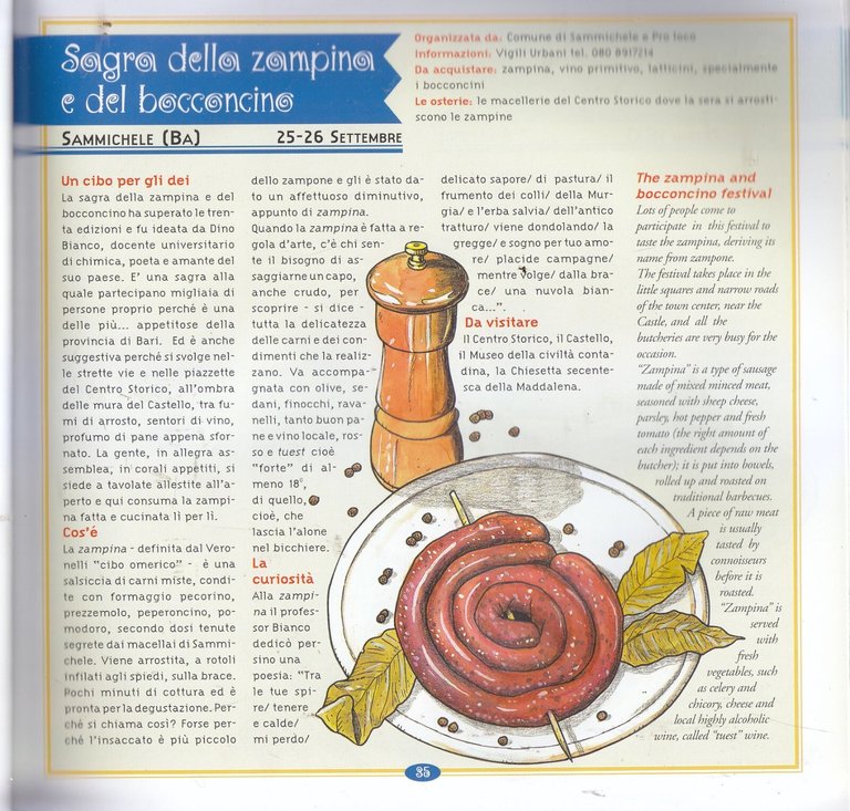 SAGRE DI PUGLIA Vittorio Stagnani 2001 Bracciodieta libro ricette cucina …