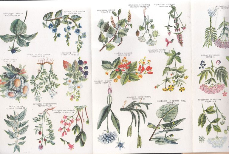 SALUTE CONSIGLI PRATICI cura del neonato farmacia domestica aiuti di …