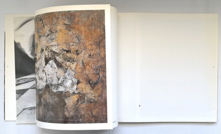 SALVATORE PROVINO OPERE 1979 1989 di D'Amico Gualdoni 1989 Visionart …