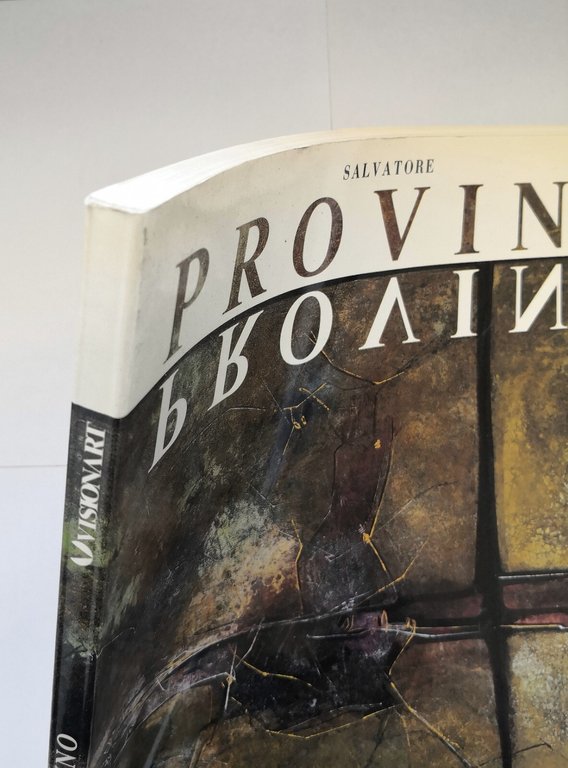 SALVATORE PROVINO OPERE 1979 1989 di D'Amico Gualdoni 1989 Visionart …