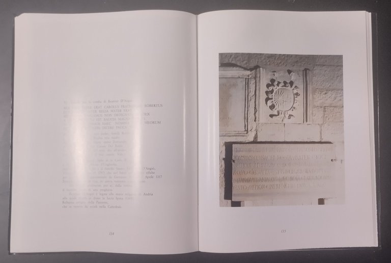 SAN RICCARDO PROTETTORE DI ANDRIA Giuseppe Lanave 1989 Guglielmi Libro … | Immagine Gallery 9