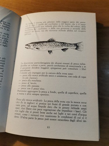 SAPER PESCARE NEL FIUME TORRENTE LAGO Renzo Portalupi Juan Roig …