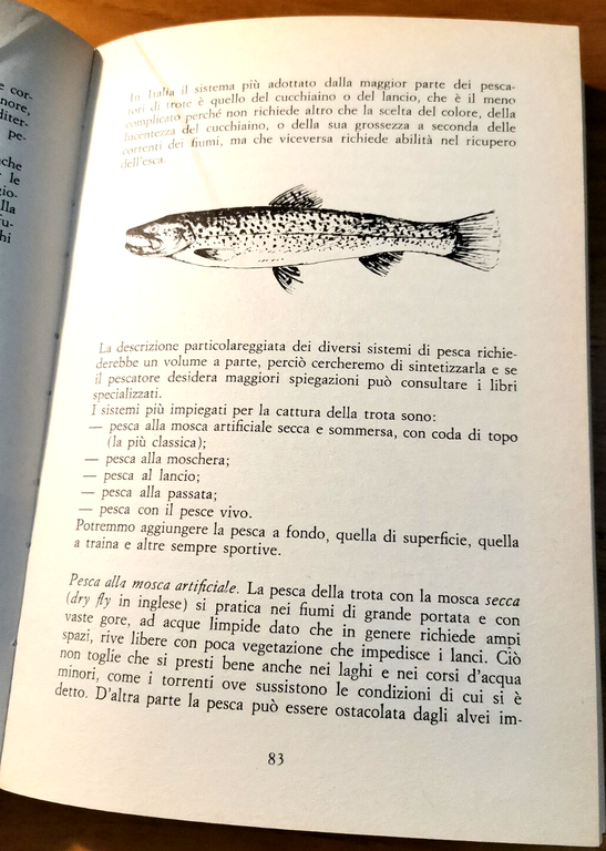 SAPER PESCARE NEL FIUME TORRENTE LAGO Renzo Portalupi Juan Roig … | Immagine Gallery 2