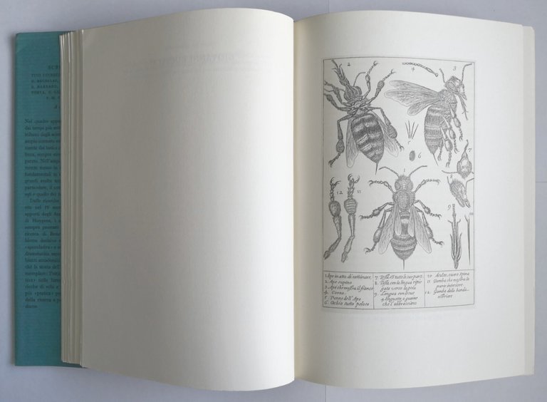 SCRITTI DI OTTICA a cura Vasco Ronchi 1968 Polifilo Libro …