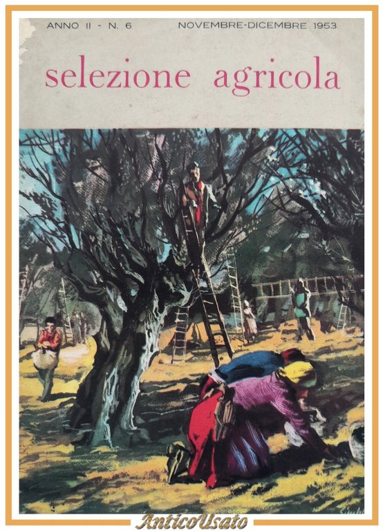 SELEZIONE AGRICOLA anno 2 Numero 6 novembre dicembre 1953 Tipografia … | Immagine Gallery 1