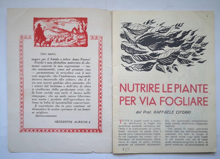 SELEZIONE AGRICOLA anno 2 Numero 6 novembre dicembre 1953 Tipografia …