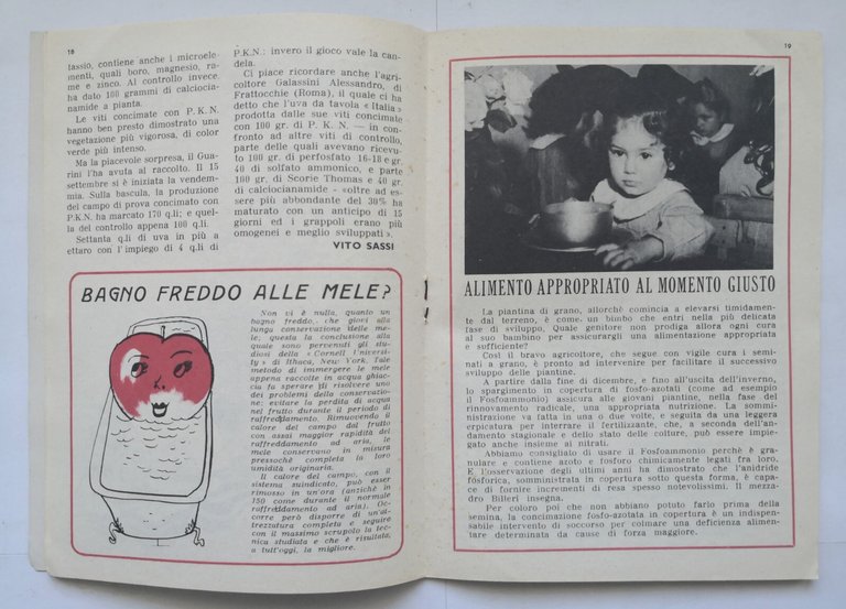 SELEZIONE AGRICOLA anno 2 Numero 6 novembre dicembre 1953 Tipografia …