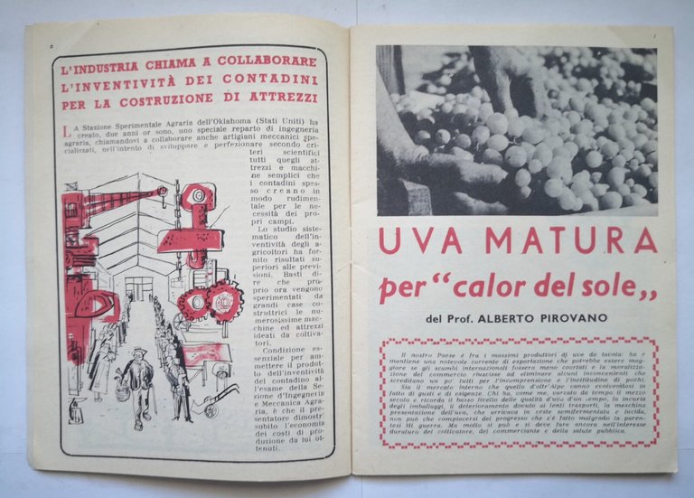 SELEZIONE AGRICOLA anno 2 Numero 6 novembre dicembre 1953 Tipografia …