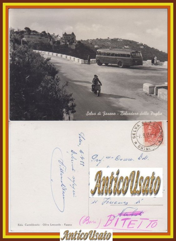 SELVA DI FASANO BELVEDERE DELLE PUGLIE Cartolina Viaggiata 1955 Bari … | Immagine Gallery 1