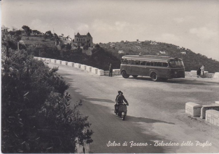 SELVA DI FASANO BELVEDERE DELLE PUGLIE Cartolina Viaggiata 1955 Bari … | Immagine Gallery 3