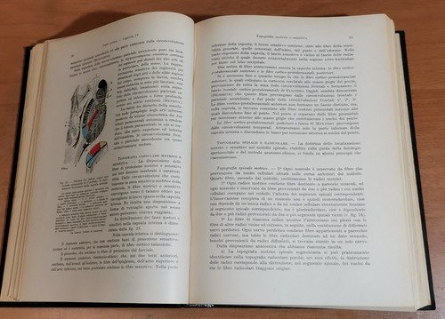 SEMEIOLOGIA DIAGNOSI E TERAPIA DELLE MALATTIE NERVOSE di Mattirolo 1944 …