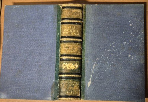 SENTENZE PRONUNZIATE DALLA SEZIONE PENALE DI NAPOLI Michele Narici 1879 …