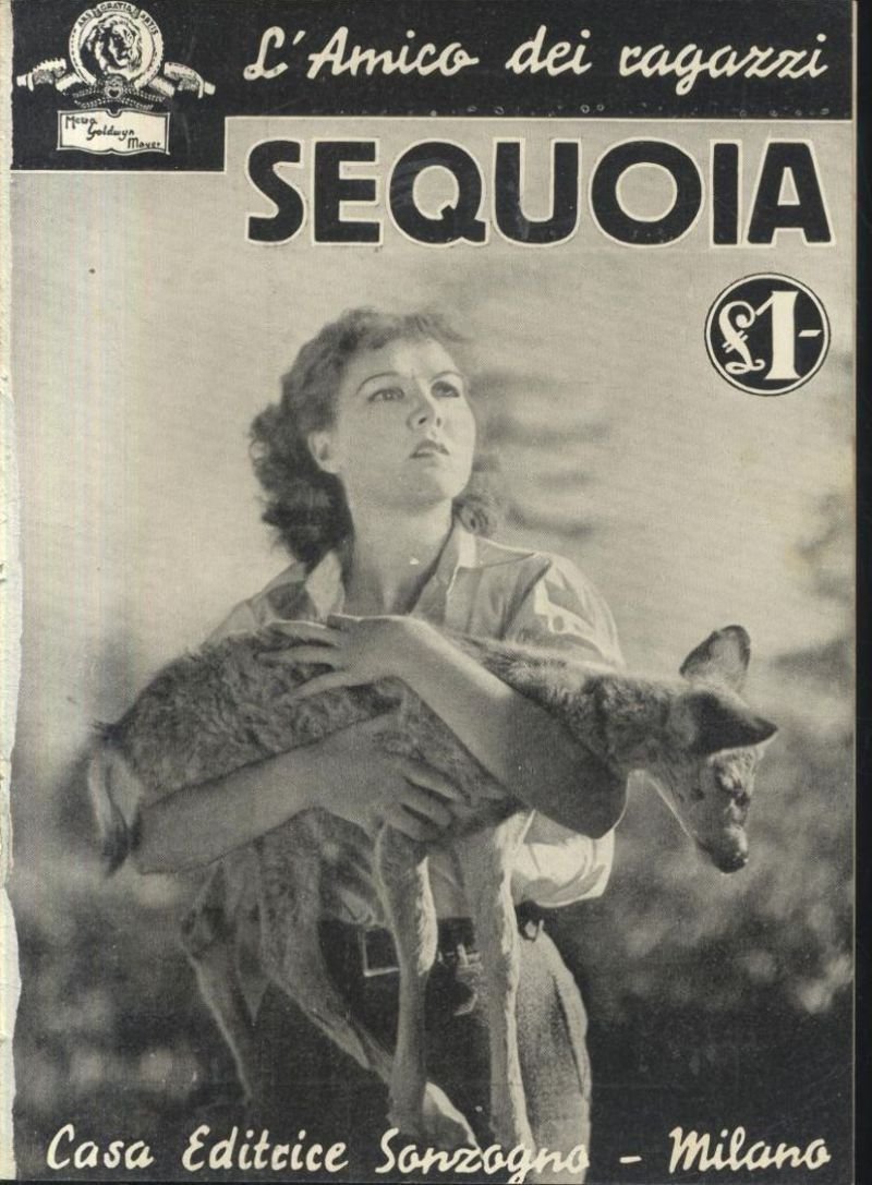 SEQUOIA con foto tratte dal film MGM 1936 Sonzogno racconto …