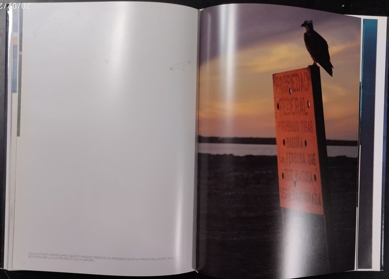 SGUARDI SUL MONDO APPUNTI DI VIAGGIO PER IMMAGINI Tonfi 2008 …