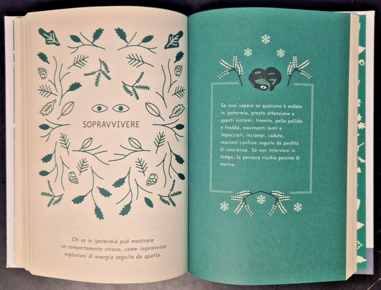 SONO VINCENT E NON HO PAURA di Enne Koens 2022 …