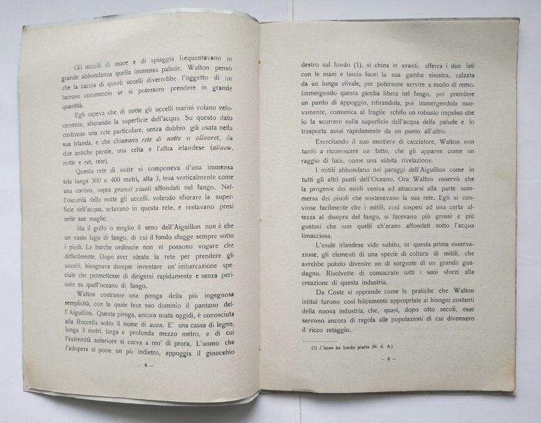 SPIGOLATURE SUI MITILI di Augusto Semeraro 1948 Cressati Taranto Libro …
