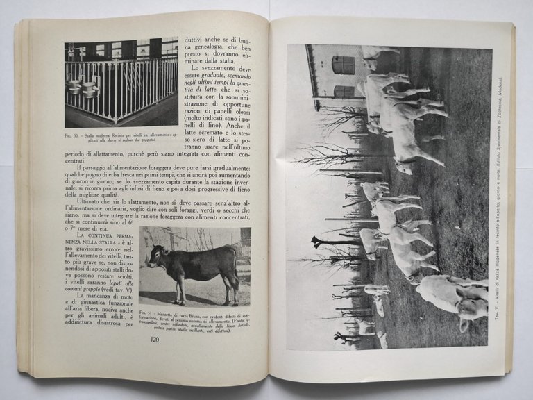 SPRECHI E RICUPERI IN AGRICOLTURA 1941 Confederazione Fascista Agricoltori Libro