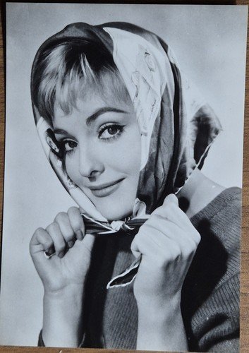 STAR ATTRICI DI HOLLYWOOD FOTOGRAFIE 14 cartoline bianco e nero …