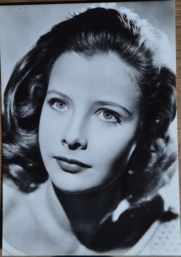 STAR ATTRICI DI HOLLYWOOD FOTOGRAFIE 14 cartoline bianco e nero …
