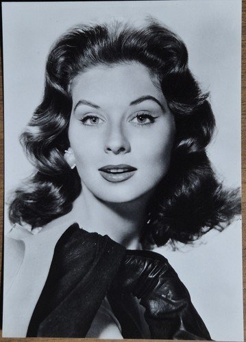 STAR ATTRICI DI HOLLYWOOD FOTOGRAFIE 14 cartoline bianco e nero …