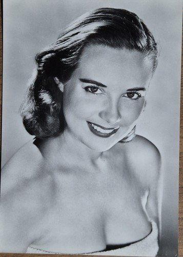 STAR ATTRICI DI HOLLYWOOD FOTOGRAFIE 14 cartoline bianco e nero …