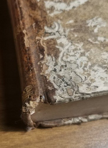 STORIA DEGLI SVIZZERI O ELVEZJ di P E Mallet 2 …