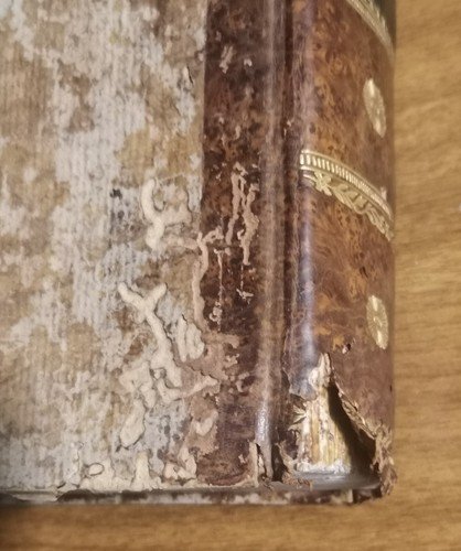 STORIA DEGLI SVIZZERI O ELVEZJ di P E Mallet 2 …