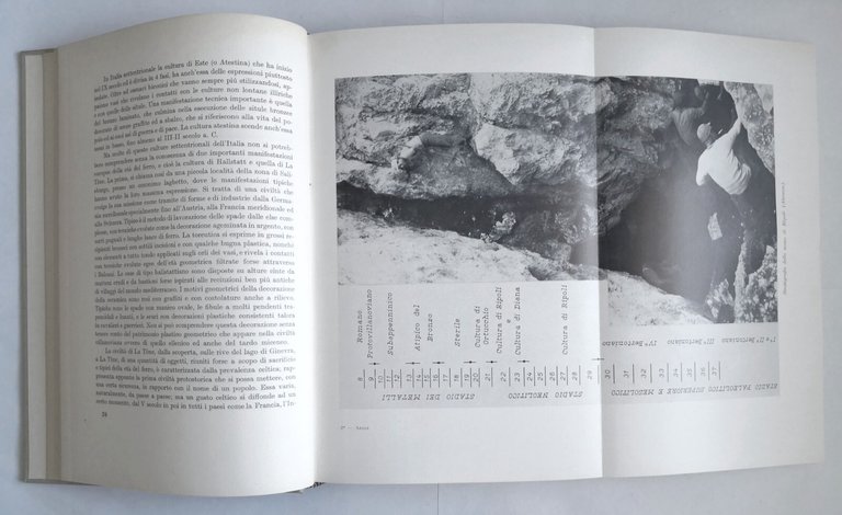 STORIA DELL'ARCHEOLOGIA di Paolo Enrico Arias 1967 Francesco Vallardi Libro