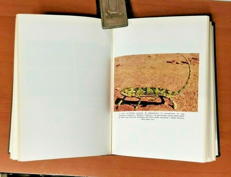 STORIA DELLA SCIENZA CONTEMPORANEA vol 2 tomo 2 1984 Lucarini …