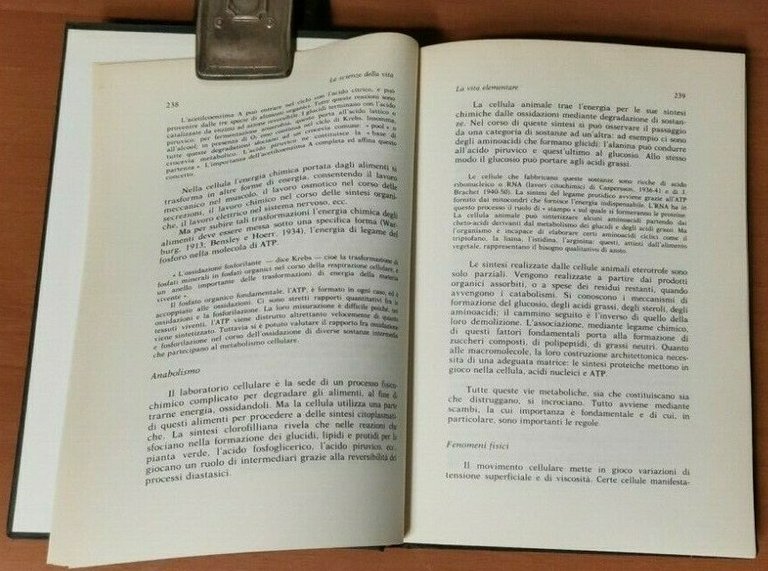 STORIA DELLA SCIENZA CONTEMPORANEA vol 2 tomo 2 1984 Lucarini …