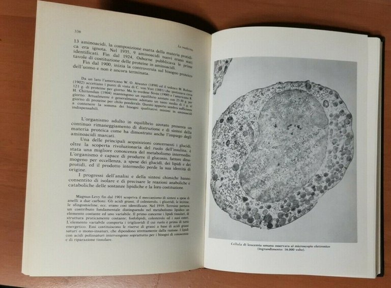 STORIA DELLA SCIENZA CONTEMPORANEA vol 3 tomo 2 1984 Lucarini …