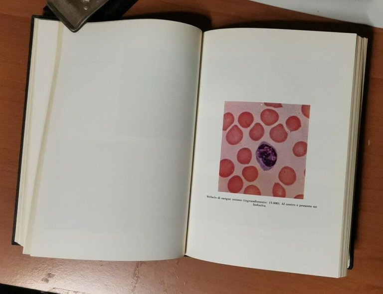 STORIA DELLA SCIENZA CONTEMPORANEA vol 3 tomo 2 1984 Lucarini …