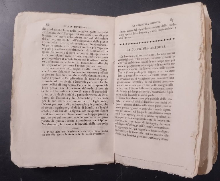 STORIA GENERALE SERPENTI E PESCI parte IV lucertola salamandra Buffon …