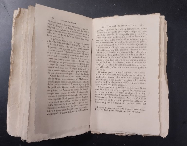 STORIA GENERALE SERPENTI E PESCI parte IV lucertola salamandra Buffon …