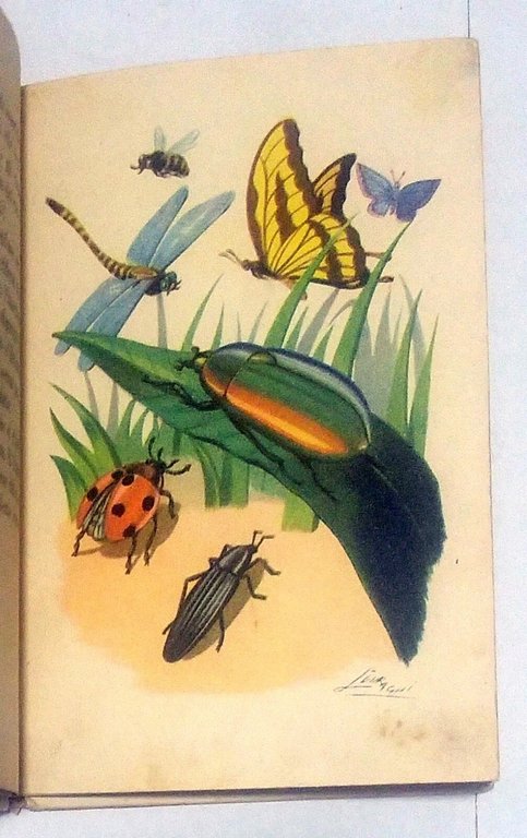 STORIE DI ANIMALI di Amalia Pozzi - Fabbri libro illustrato …