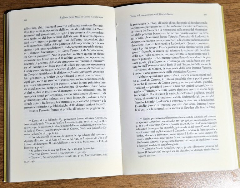 STUDI SU CANNE E SU BARLETTA di Raffaele Iorio 2011 … | Immagine Gallery 3